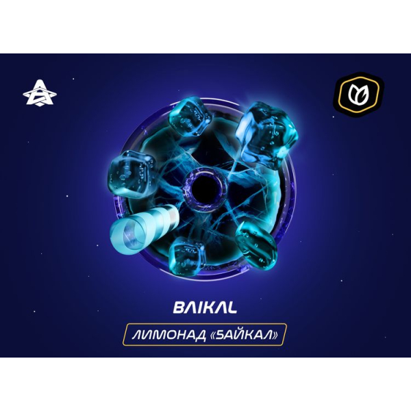 Паста Space Smoke Tobacco Baikal 30 гр в Петропавловске-Камчатском