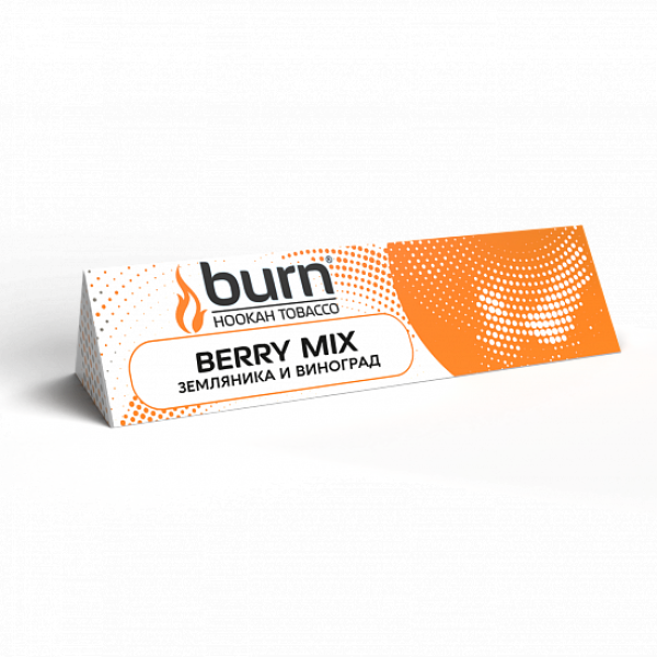 Табак BURN BERRYMIX 25 грамм в Петропавловске-Камчатском