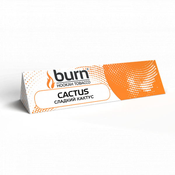 Табак BURN CACTUS 25 грамм в Петропавловске-Камчатском