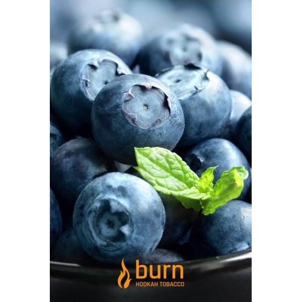 Табак Burn Blueberry Mint 100 грамм в Петропавловске-Камчатском