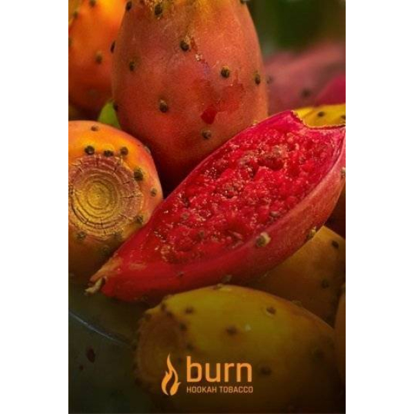 Табак Burn Cactus 100 грамм в Петропавловске-Камчатском