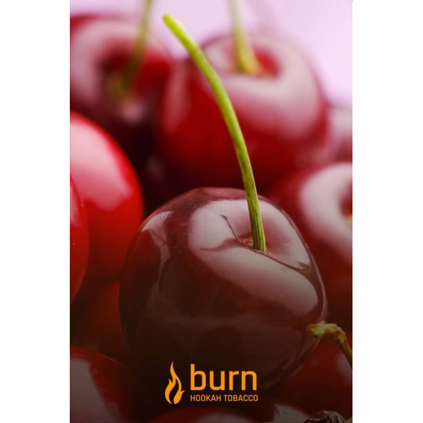 Табак Burn Candy Cherry 100 грамм в Петропавловске-Камчатском