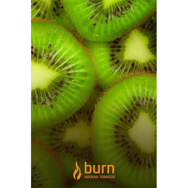 Табак Burn Kiwi 100 грамм в Петропавловске-Камчатском