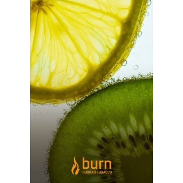 Табак Burn Kiwi Lemon 100 грамм в Петропавловске-Камчатском
