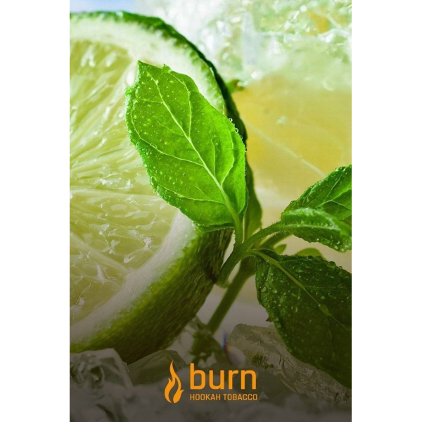 Табак Burn Lemon Mint 100 грамм в Петропавловске-Камчатском