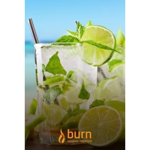 Табак Burn Mojito 100 грамм в Петропавловске-Камчатском