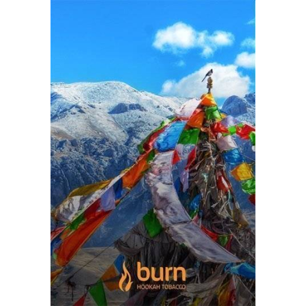Табак Burn Tibet 100 грамм в Петропавловске-Камчатском