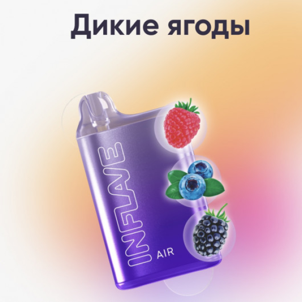 Inflave (Air Дикие Ягоды), 6000 тяг в Петропавловске-Камчатском