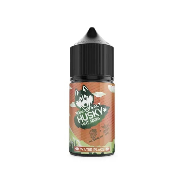 Жидкость Husky salt Mint series Water Place (Арбуз холодок) (30 мл, 20 мг/мл) в Петропавловске-Камчатском