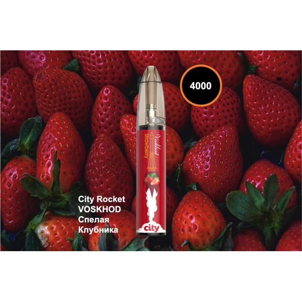 City Rocket VOSKHOD, 4000 тяг в Петропавловске-Камчатском