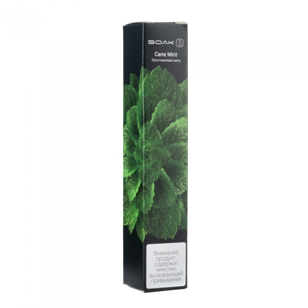SOAK S Cane Mint (Тростниковая мята), 2500 тяг в Петропавловске-Камчатском