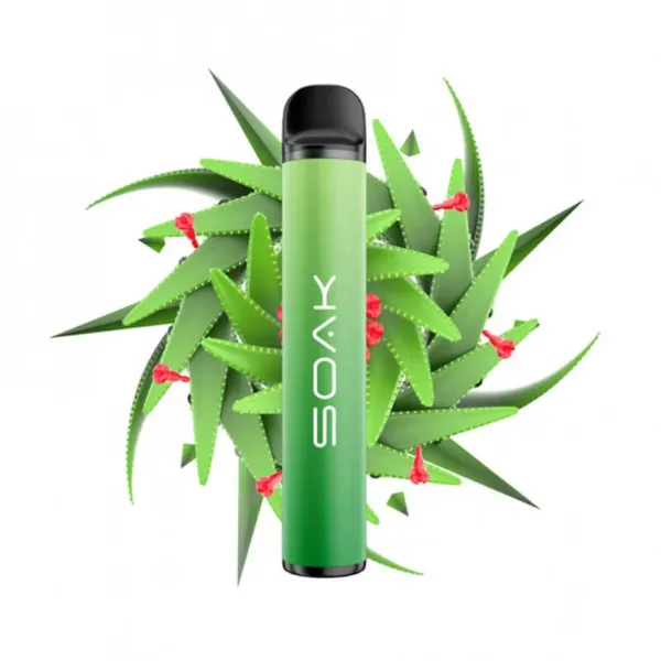 SOAK X Aloe Vera (Алое Вера), 1500 тяг в Петропавловске-Камчатском