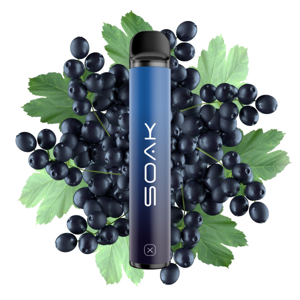 SOAK X Forest Blackcurrant (Лесная черная смородина), 1500 тяг в Петропавловске-Камчатском