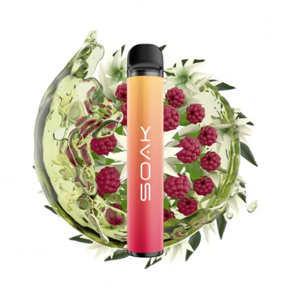 SOAK X Jasmin Raspberry Tea (Жасминовый чай с малиной), 1500 тяг в Петропавловске-Камчатском