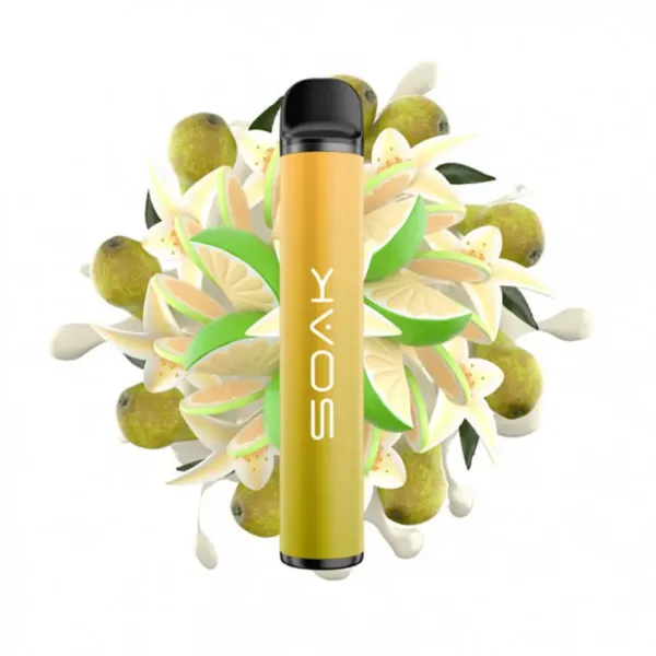 SOAK X Vanilla Pear (Ванильная груша с лаймом), 1500 тяг в Петропавловске-Камчатском