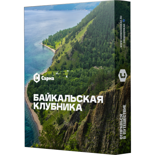 Табак Сарма Байкальская Клубника 25 гр в Петропавловске-Камчатском