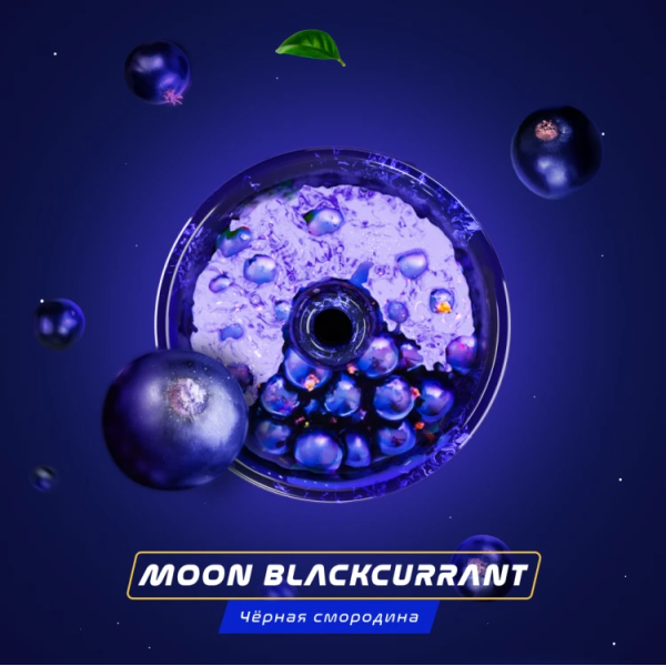 Паста Space Smoke BASIC Moon  Blackcurrant (Черная  смородина) 125 гр в Петропавловске-Камчатском