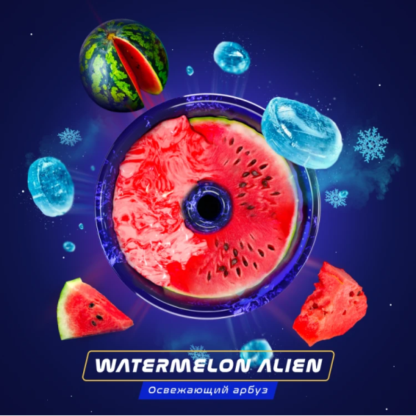 Паста Space Smoke BASIC Watermelon  Alien (Арбуз с  холодком) 125 гр в Петропавловске-Камчатском