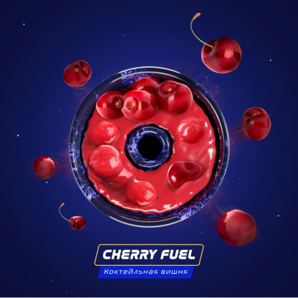 Паста Space Smoke BASIC Cherry Fuel (Вишнёвое топливо) 30 гр в Петропавловске-Камчатском