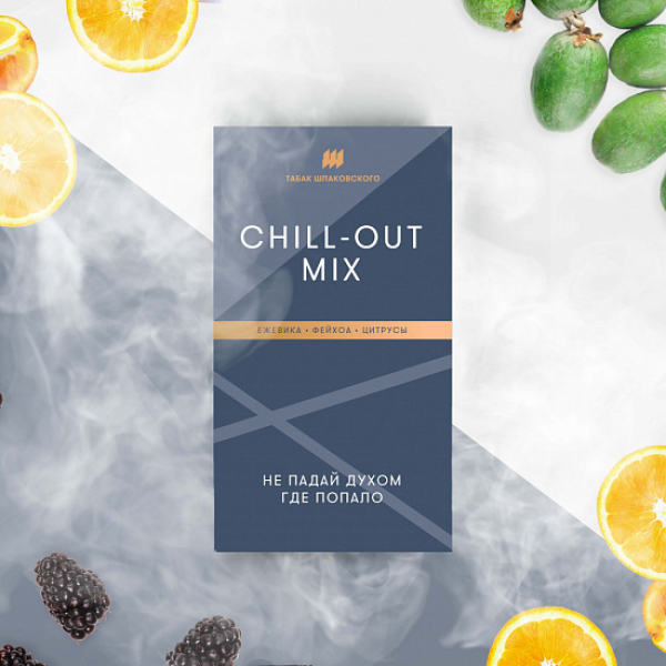 Табак Шпаковского Chill Out (Ежевика Фейхоа Цитрусы) 40 грамм в Петропавловске-Камчатском