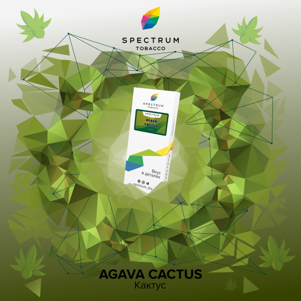 Табак Spectrum Classic Agava Cactus 100 грамм в Петропавловске-Камчатском
