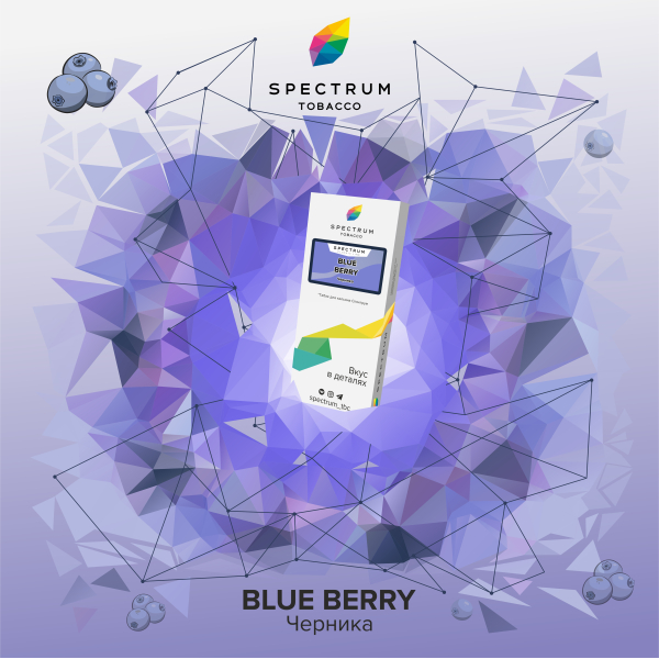 Табак Spectrum Classic Blue Berry 100 грамм в Петропавловске-Камчатском