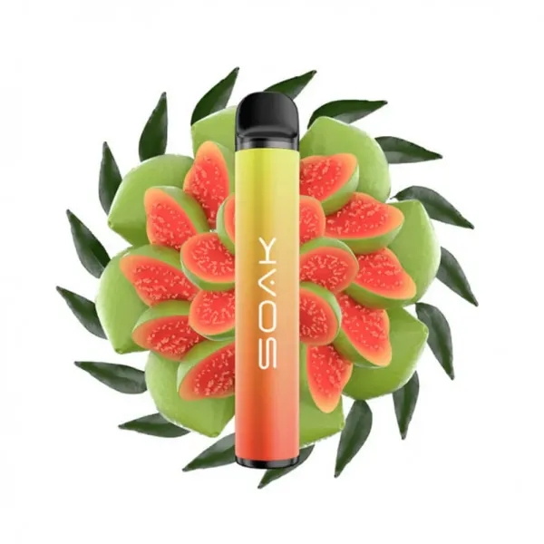 Soak X Guava, 1500 тяг в Петропавловске-Камчатском