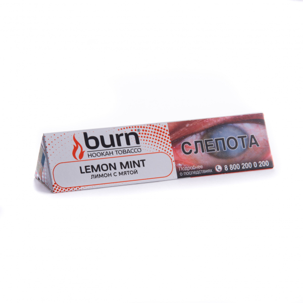 Табак Burn Lemon Mint  25 грамм в Петропавловске-Камчатском