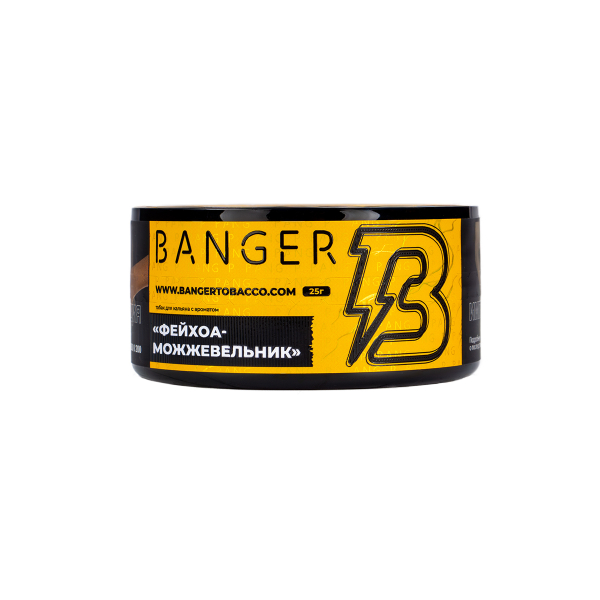 Табак Banger Evergreen 25 грамм в Петропавловске-Камчатском