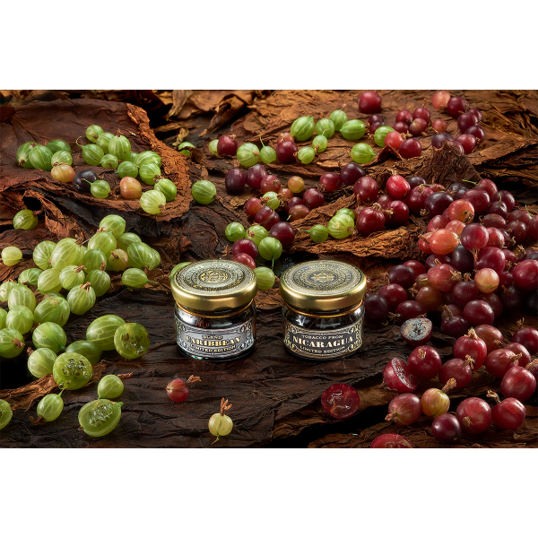 Табак WTO CARIBBEAN BLEND CB15 Крыжовник 20 грамм в Петропавловске-Камчатском